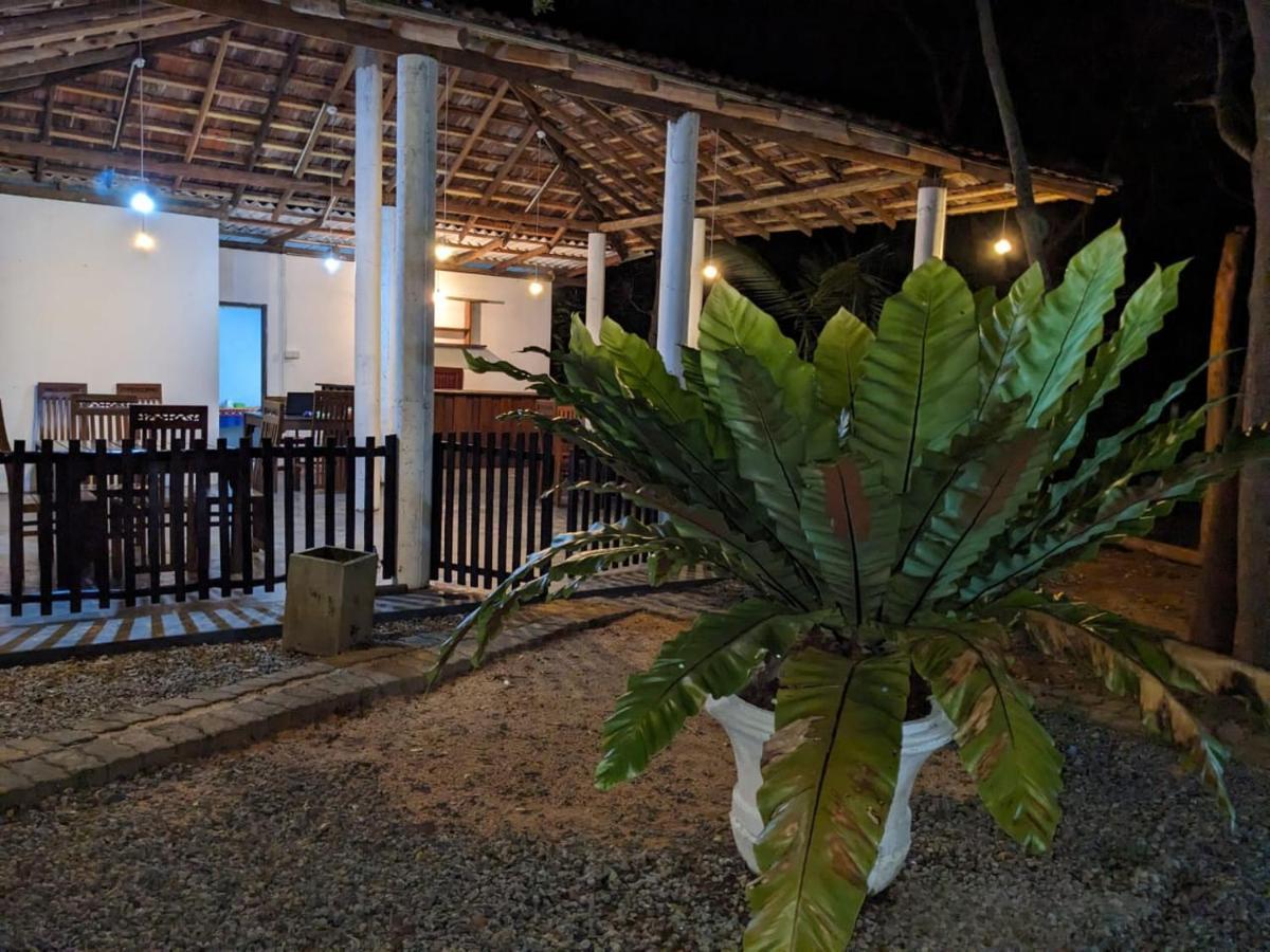 Silent Cabana And Restaurant Marakolliya, Tangalle Ngoại thất bức ảnh
